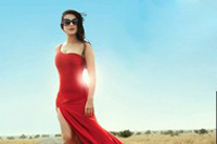 Amisha Patel Hot Photoshoot